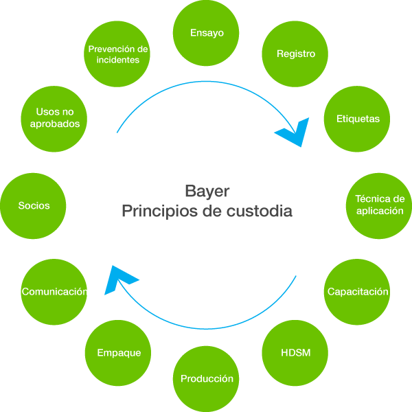 Bayer Principios de Custodia