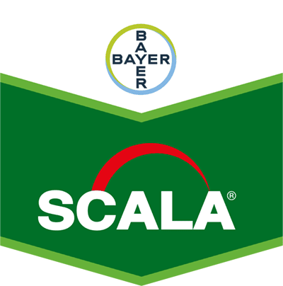 Scala® SC 40