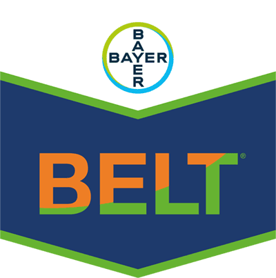 Belt®