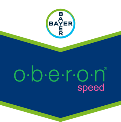 Oberon® Speed SC 240