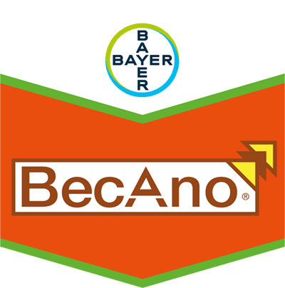 Becano® SC 500