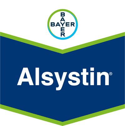 Alsystin® SC 480