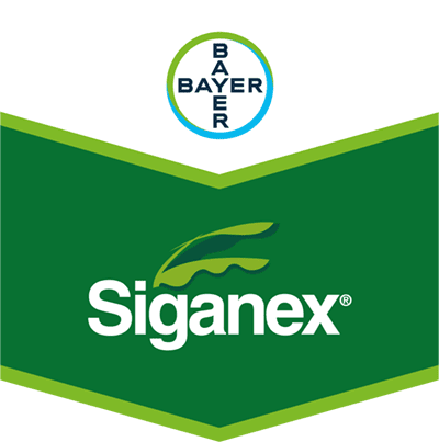 Siganex®