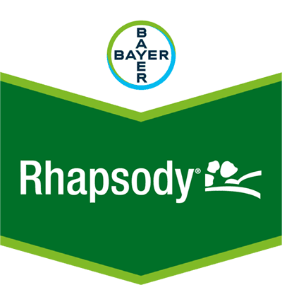 Rhapsody® SC 1,34