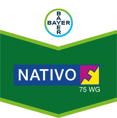 Nativo® 75 WG