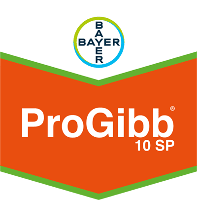 ProGibb® SP 10