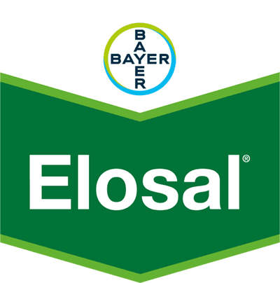 Elosal® SC 720