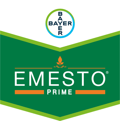 Emesto® Prime