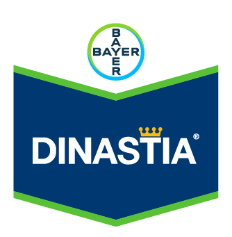 Dinastia® EC 100