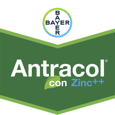 Antracol® con Zinc++