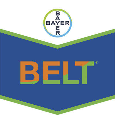 Belt®