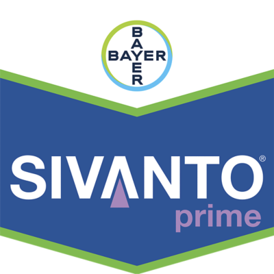 Sivanto® Prime